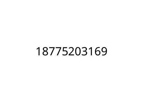 18775203169
