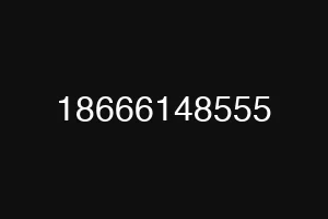 18666148555