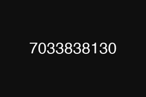7033838130