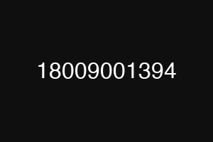 18009001394