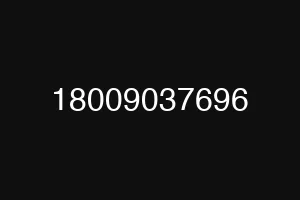 18009037696