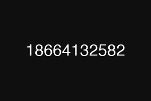 18664132582