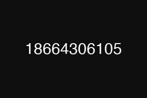 18664306105