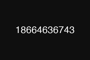 18664636743