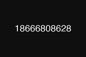 18666808628