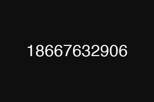 18667632906