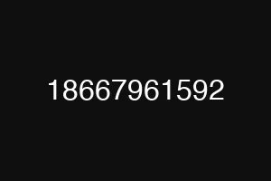 18667961592