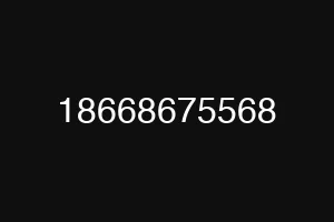 18668675568