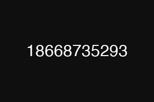 18668735293