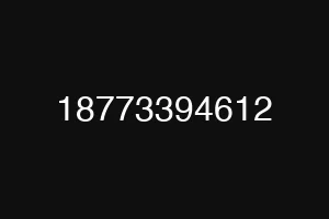 18773394612