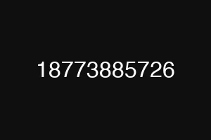 18773885726