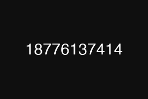 18776137414