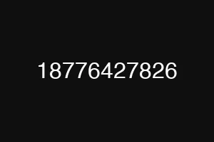 18776427826