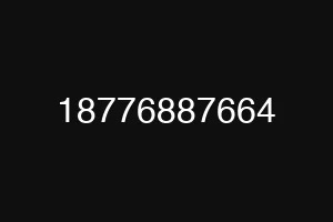 18776887664