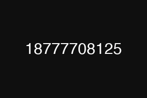 18777708125