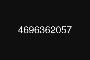 4696362057