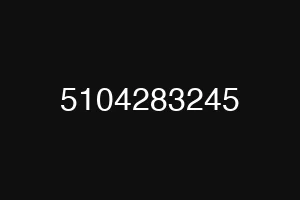 5104283245
