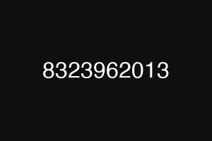 8323962013