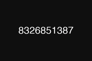 8326851387