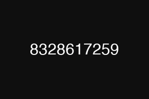 8328617259