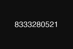 8333280521