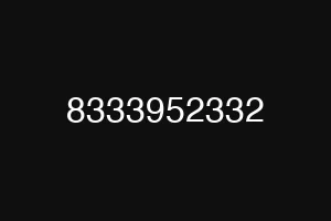 8333952332