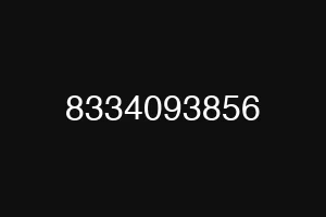 8334093856