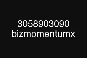 3058903090 bizmomentumx