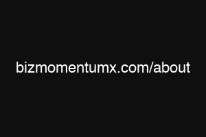 bizmomentumx.com/about
