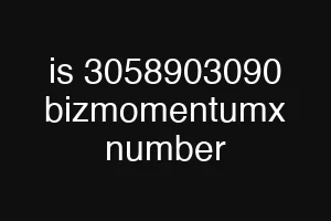 is 3058903090 bizmomentumx number