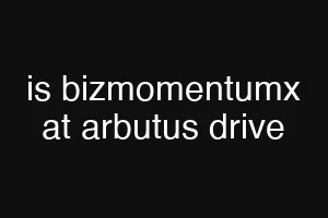 is bizmomentumx at arbutus drive